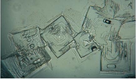 Salt crystals magnified to 40 times their original size, displaying its crystal lattice. (Reproduced by permission of JLM Visuals.)