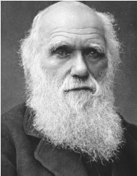 Charles Darwin. (Reproduced by permission of Archive Photos, Inc.)