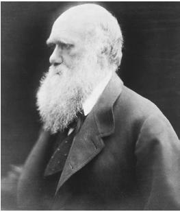 Charles Darwin (Darwin, Charles, photograph. The Library of Congress.)