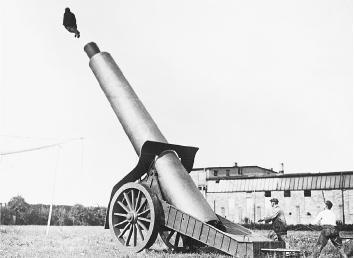 BECAUSE OF EARTH'S GRAVITY, THE WOMAN BEING SHOT OUT OF THIS CANNON WILL EVENTUALLY FALL TO THE GROUND RATHER THAN ASCEND INTO OUTER SPACE. (Underwood & Underwood/Corbis. Reproduced by permission.)