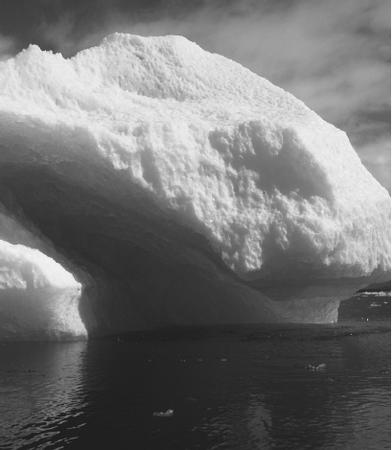 AN ICEBERG FLOATS BECAUSE THE DENSITY OF ICE IS LOWER THAN WATER, WHILE ITS VOLUME IS GREATER, MAKING THE ICEBERG BUOYANT. (Photograph by Ric Engenbright/Corbis. Reproduced by permission.)