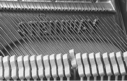PIANO STRINGS GENERATE SOUND AS THEY ARE SET INTO VIBRATION BY THE HAMMERS. THE HAMMERS, IN TURN, ARE ATTACHED TO THE BLACK-AND-WHITE KEYS ON THE OUTSIDE OF THE PIANO. (Photograph by Bob Krist/Corbis. Reproduced by permission.)
