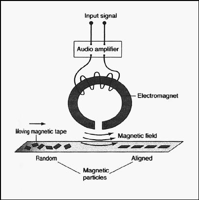 THE PERMANENT MAGNETIZATION OF A NATURAL MAGNET IS DIFFICULT TO REVERSE, BUT REVERSAL OF A TAPE'S MAGNETIZATION—IN OTHER WORDS, ERASING THE TAPE—IS EASY. AN ERASE HEAD, AN ELECTROMAGNET OPERATING AT A FREQUENCY TOO HIGH FOR THE HUMAN EAR TO HEAR, SIMPLY SCRAMBLES THE MAGNETIC PARTICLES ON A PIECE OF TAPE. (Illustration by Hans & Cassidy. The Gale Group.)