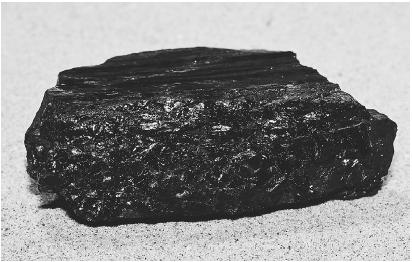THE NAME CARBON COMES FROM THE LATIN WORD FOR CHARCOAL, CARBO. COAL HAS A WIDE VARIETY OF USES, FROM MANUFACTURING STEEL TO GENERATING ELECTRICITY. (© Andrew J. Martinez/Photo Researchers. Reproduced by permission.)