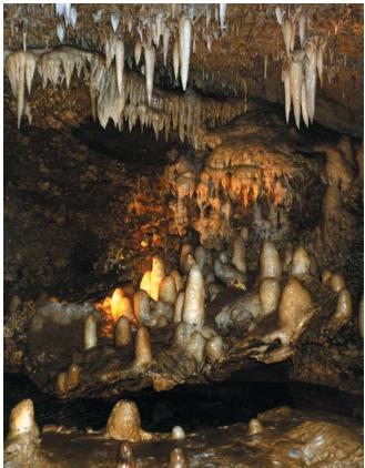 Stalactites and stalagmites in Harrison's Cave, Barbados. (Reproduced courtesy of Carol DeKane Nagel.)