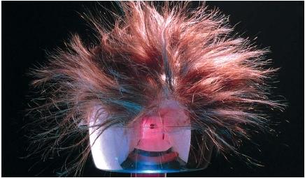 A Van de Graaff generator is a device that is capable of building up a very high potential for static electricity. In this photo, the charge that has accumulated in the generator's dome is leaking into the hair of a wig that has been placed on top of the generator. Because the hairs are similarly charged and like charges repel each other, the hairs repel each other. (Reproduced by permission of Photo Researchers, Inc.)