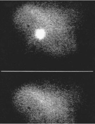 X-ray images showing the neutron star at the heart of the Crab Nebula. The remnant of a supernova seen from Earth in 1954, this neutron star emits radiation in bursts—appearing to blink on and off—and thus is a pulsar. (Reproduced by permission of National Aeronautics and Space Administration.)