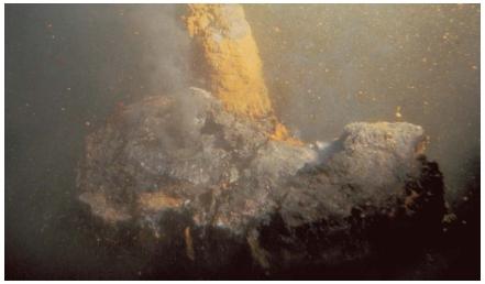 Underwater ridge of the Juan de Fuca plate off the coast of Washington State. These chimneylike structures on the ocean floor are shaped by emissions of sulfides from deep beneath Earth's crust. (Reproduced by permission of U.S. Geological Survey Photographic Library.)