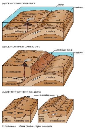 Tectonic plates can interact in one of three ways: a) ocean-ocean convergence, b) ocean-continental convergence, or c) continent-continent collisions. (Reproduced by permission of The Gale Group.)