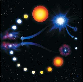 Artwork of the main stages in the life of a star. The lower track shows the evolution of stars like our sun. After it has used all its hydrogen fuel, its helium core becomes a white dwarf. The more massive star on the upper track becomes a red supergiant before exploding in a supernova and leaving behind a black hole or neutron star. (Reproduced by permission of Photo Researchers, Inc.)