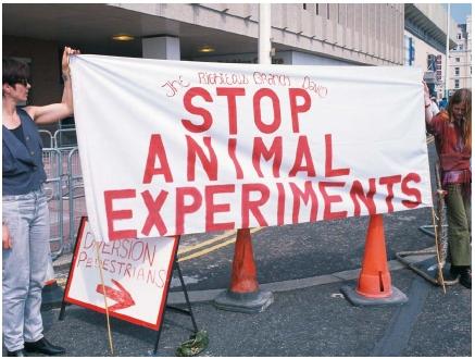 Many people oppose vivisections, considering it animal cruelty. (Reproduced by permission of The Corbis Corporation [Bellevue].)