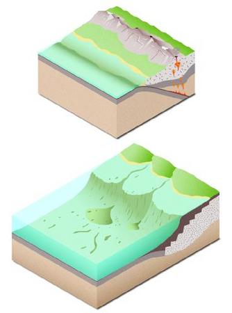 Two types of continental margins exist: active margins and passive margins. Active margins form primarily along the boundaries of plates that are actively converging. Passive margins currently exist in the middle of plates, not at plate boundaries.