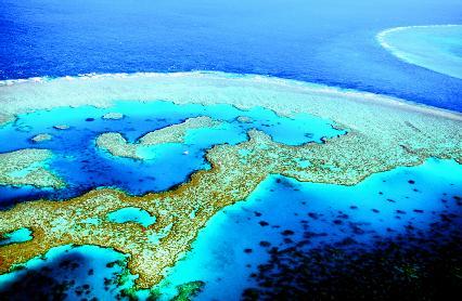 The Great Barrier Reef covers roughly 80,000 square miles, an area approximately as large as the state of Kansas. It is the largest structure created by living organisms. PHOTOGRAPH REPRODUCED BY PERMISSION OF THE CORBIS CORPORATION.