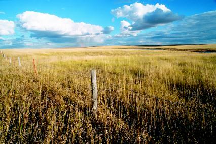 A plain may be defined as any lowland area that is level or gently sloping or rolling. Many plains around the world are covered in grasses. PHOTOGRAPH REPRODUCED BY PERMISSION OF THE CORBIS CORPORATION.