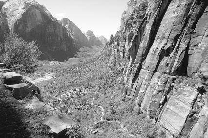 U-shaped valley in Zion National Park, Utah. PHOTOGRAPH REPRODUCED BY PERMISSION OF FIELD MARK PUBLICATIONS.