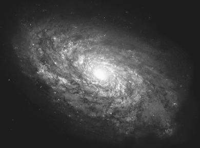 A Hubble Space Telescope photo of the galaxy NGC 4414. Both it and the Milky Way, which it resembles, likely contain giant black holes.