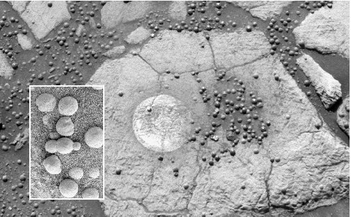 Scientists contend that these small Martian rock formations, called blueberries, must have been formed by water.